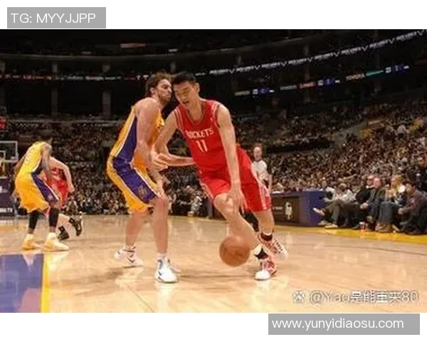 姚明：从篮球巨星到国际体育文化交流的桥梁与榜样