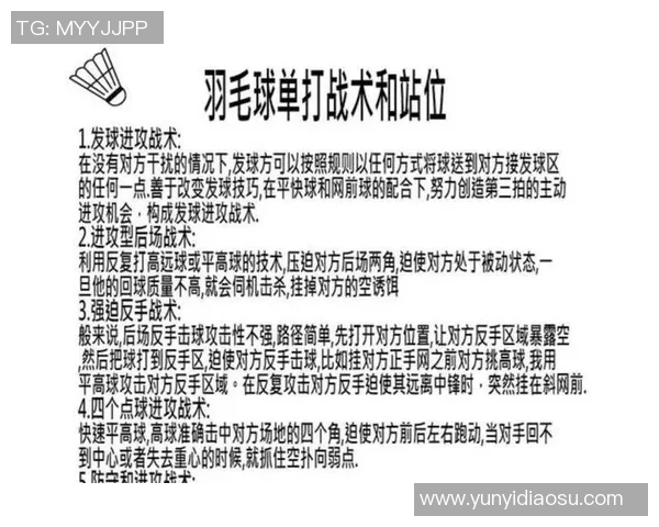 成都羽毛球队的战术解析与控制技巧深度剖析